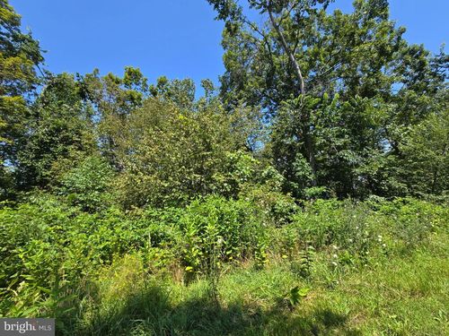 Lot 24 Stone Fly Ln, SUGAR GROVE, WV, 26815 | Card Image