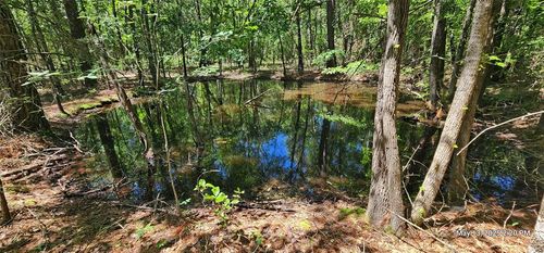 TBD Cr 3233 And Cr 3230, Clarksville, TX, 75426 | Card Image