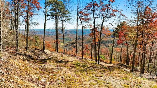 Lot 23 Bluebell Trail, Boone, NC, 28607 | Card Image