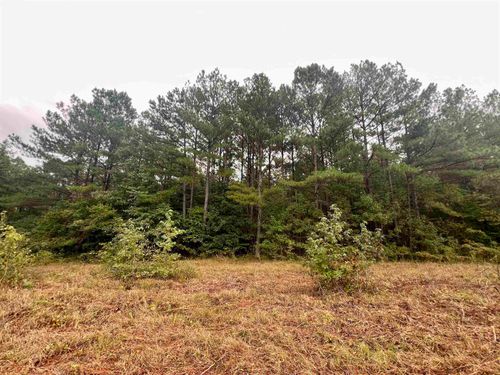 00 County Road 87, Waterloo, AL, 35677 | Card Image