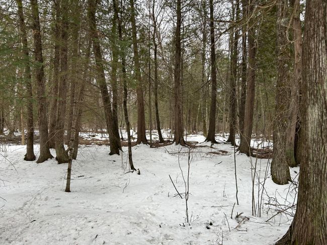 743 Woodlawn Rd, House other with 2 bedrooms, 1 bathrooms and null parking in Pickerel WI | Image 64