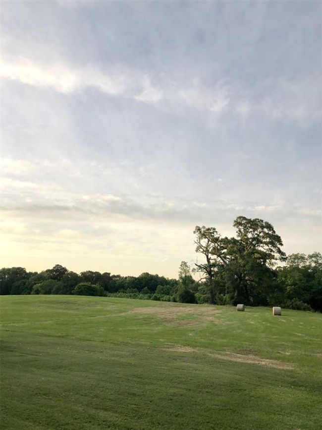 2290 Interstate 45 S, Home with 3 bedrooms, 2 bathrooms and 2 parking in New Waverly TX | Image 18