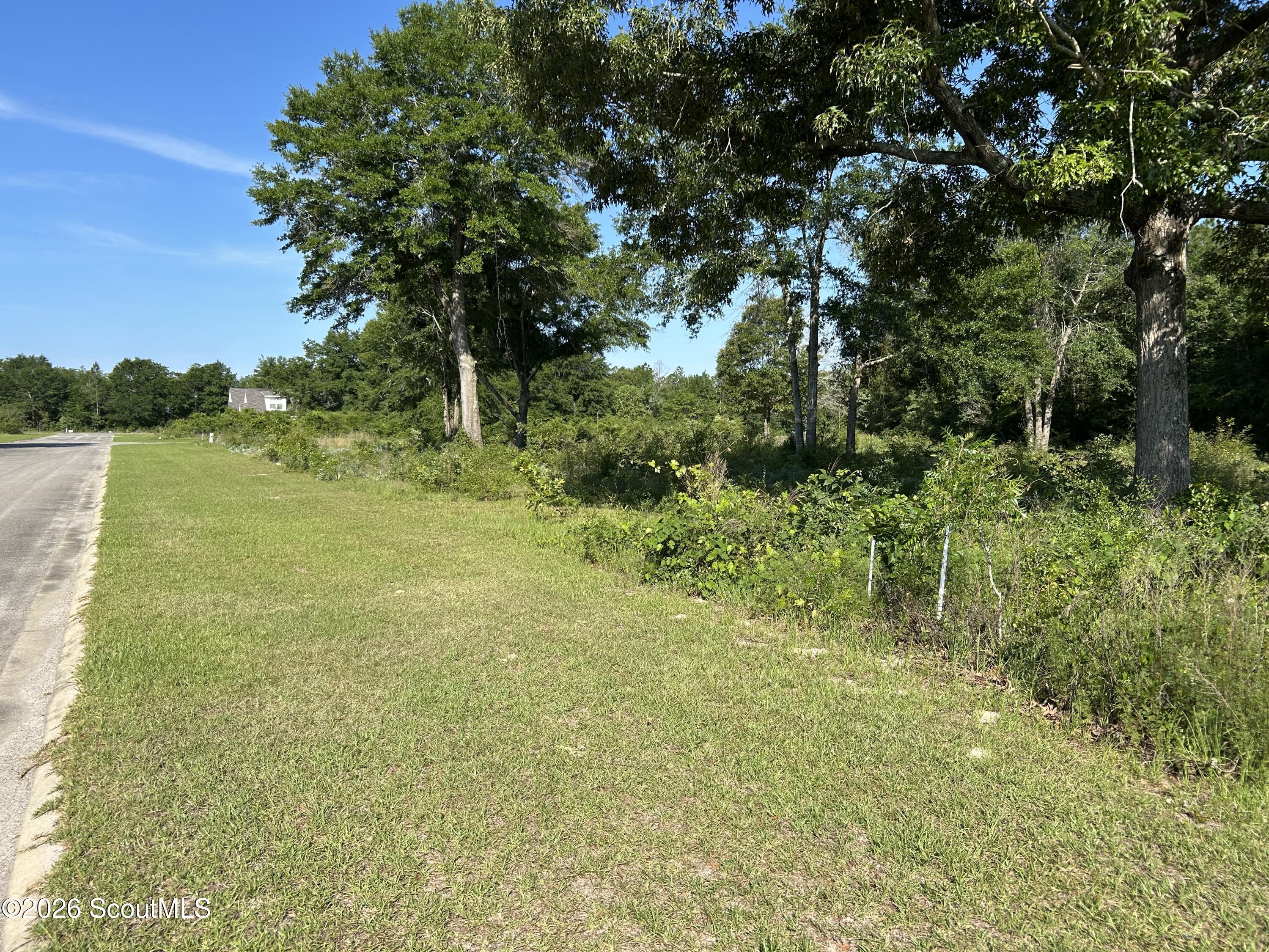 Land in Jesup 3
