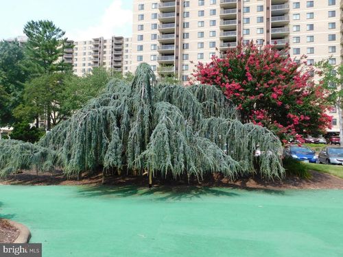 apt-504-309 Yoakum Pkwy, ALEXANDRIA, VA, 22304-3922 | Card Image