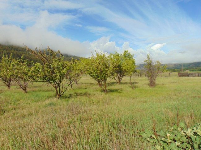 27235 Lazy Springs Rd, Home with 0 bedrooms, 0 bathrooms and null parking in Clinton MT | Image 28