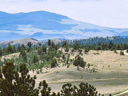 1051 Arapahoe Trl, HARTSEL, CO, 80449 | Card Image