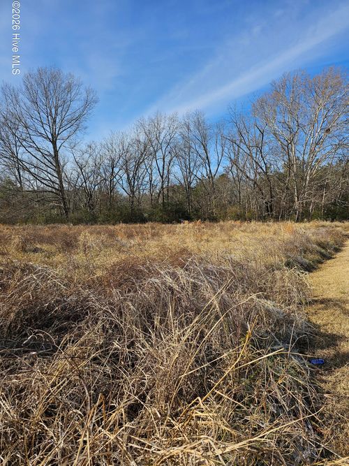 Benthall Benthall Lt 1 Jr Gin, Woodland, NC, 27897 | Card Image