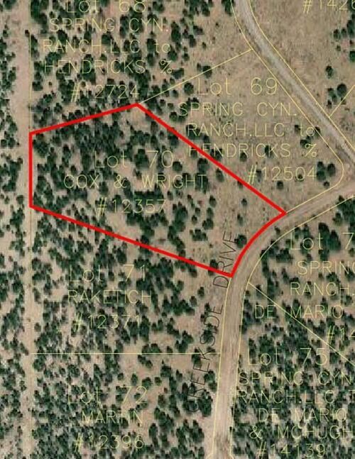 Lot 70 Creekside Dr, Quemado, NM, 87829 | Card Image