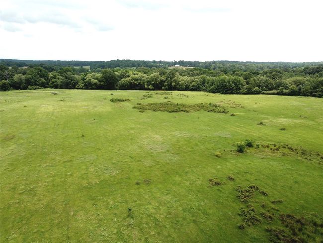 00 County Road 3206 W, Home with 0 bedrooms, 0 bathrooms and null parking in Mount Enterprise TX | Image 7