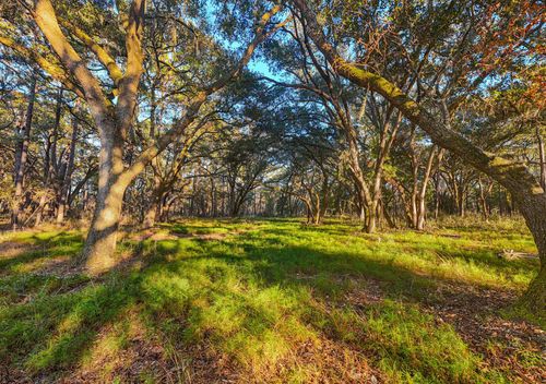 00 Sc Hwy 174 Highway, Edisto Island, SC, 29438 | Card Image