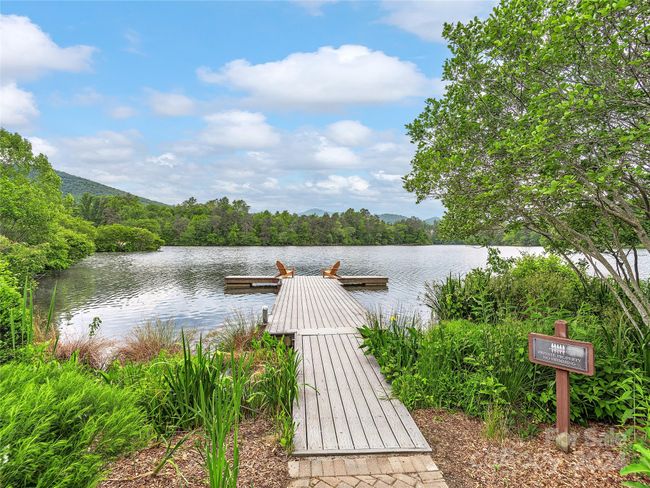 664 Wickhams Fancy Dr, House other with 6 bedrooms, 7 bathrooms and null parking in Biltmore Lake NC | Image 40