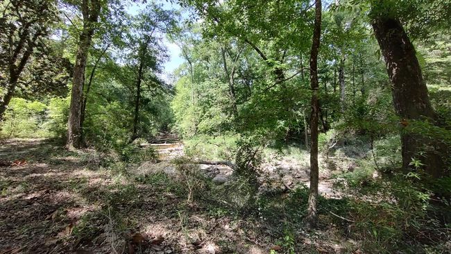 110 Rosenbaum Dr, House other with 2 bedrooms, 1 bathrooms and null parking in Poplarville MS | Image 36
