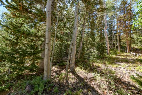 693 Hunter Ridge Dr, Brian Head, UT, 84719-7706 | Card Image
