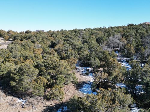 31 Punch Ct, Tijeras, NM, 87059-7550 | Card Image