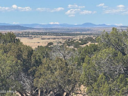 753-753 Woodland Valley Ranch --, St Johns, AZ, 85936 | Card Image