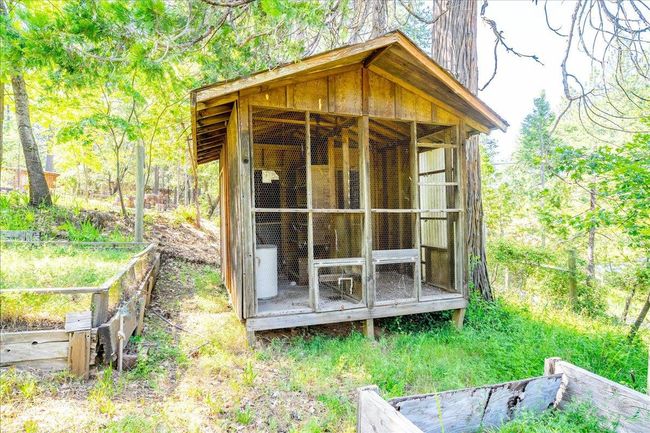 Chicken coop in the garden | Image 67