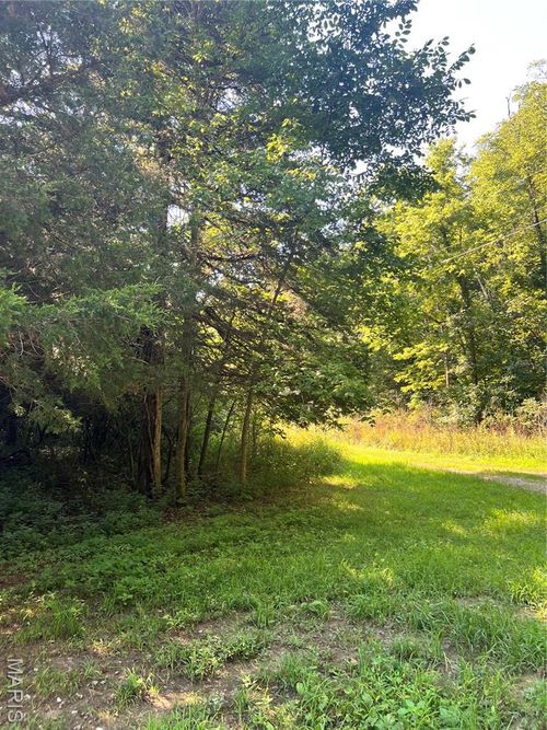 00 Mel Ln, Williamsburg, MO, 63388 | Card Image