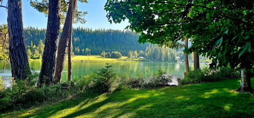 461 Old Leclerc Rd, Cusick, WA, 99119-9670 | Card Image