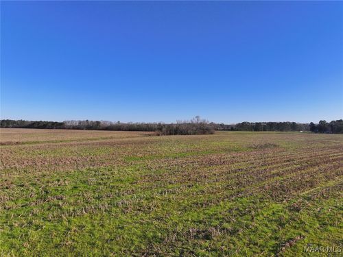 1 County Road 22, Union Springs, AL, 36089 | Card Image