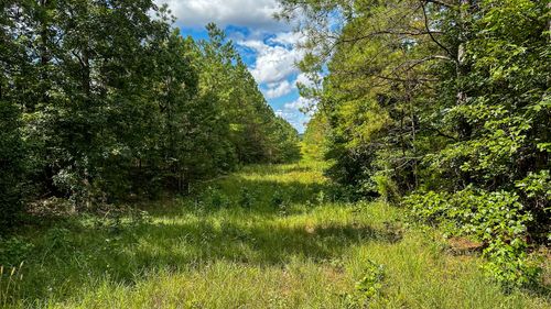 0 Hines Gin Rd, Selmer, TN, 38375 | Card Image