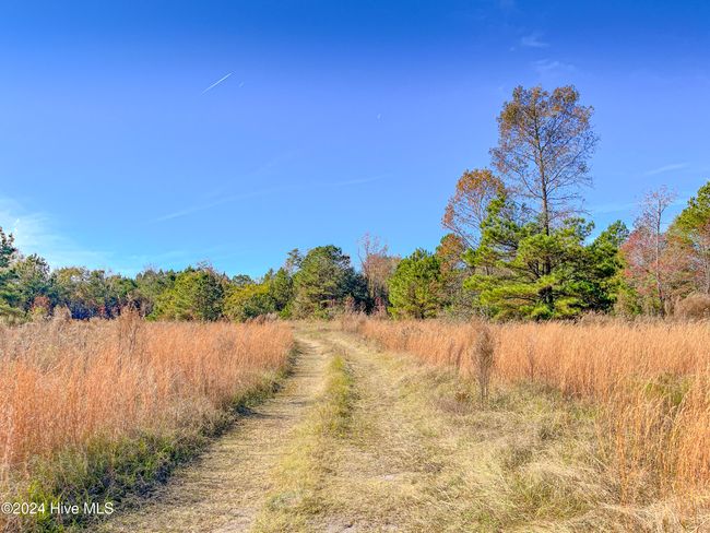 4780 S Us 117 Hwy, Home with 0 bedrooms, 0 bathrooms and null parking in Teachey NC | Image 23