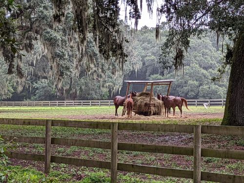 21 Middleton Oaks Rd, Charleston, SC, 29414-7207 | Card Image
