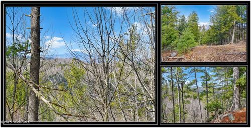 L18 Mountain Meadows Rd, Adirondack, NY, 12808 | Card Image