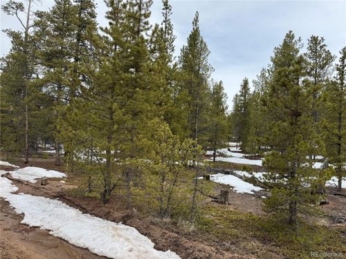 322 Fir Dr, Leadville, CO, 80461-9730 | Card Image