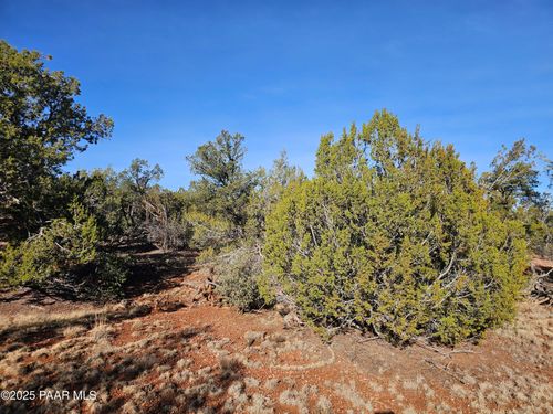 54892 N Portrero Ln, Seligman, AZ, 86337 | Card Image