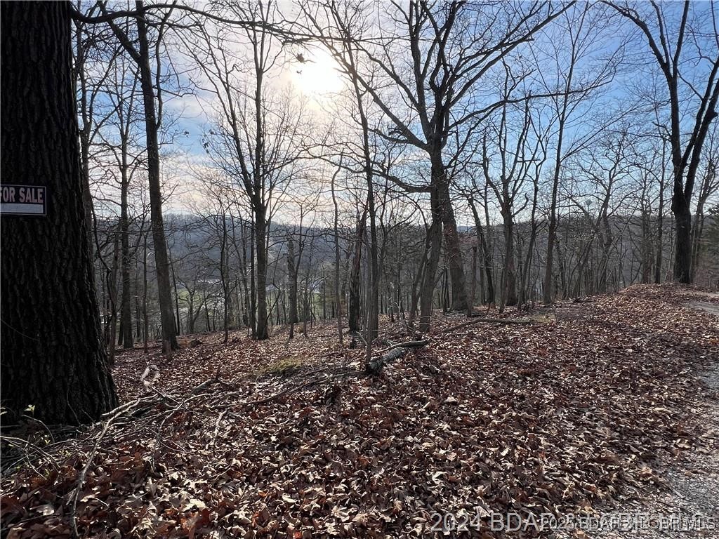 Land in Camdenton