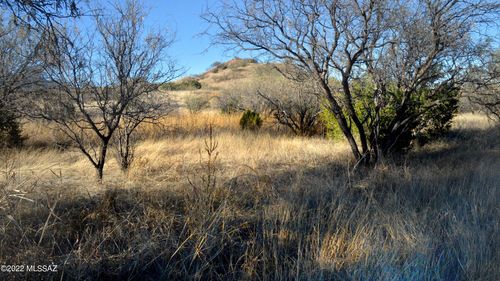 40-166 Tanglehead Ln, Patagonia, AZ, 85624 | Card Image