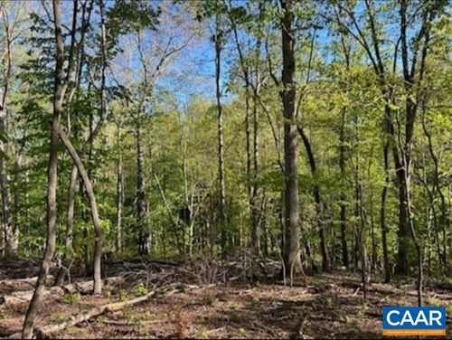 0 Allens Creek Rd, GLADSTONE, VA, 24553 | Card Image