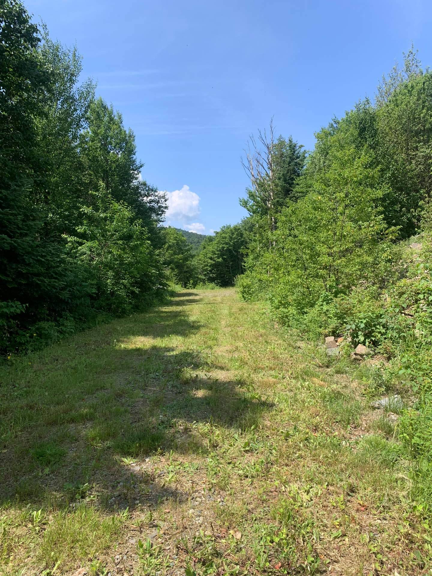 Land in Notre-Dame-des-Bois 5