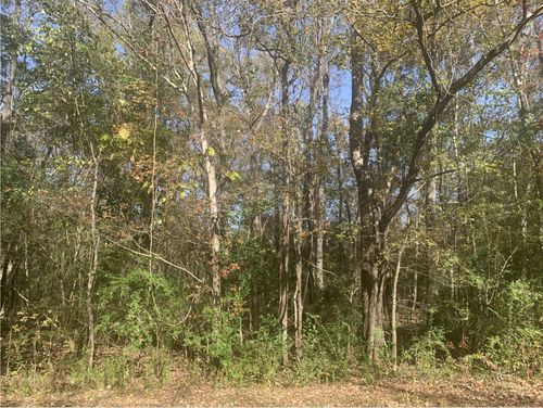 Lot 21 Mary Ellie Dr, Summerville, SC, 29483 | Card Image