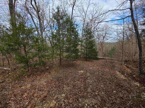 L-42 B-1 Robin Hood Lane, Hardy, AR, 72542 | Card Image