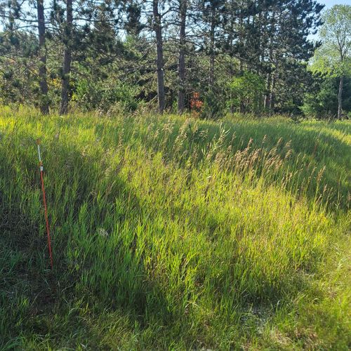 2 M 66 Se, Fife Lake, MI, 49633 | Card Image