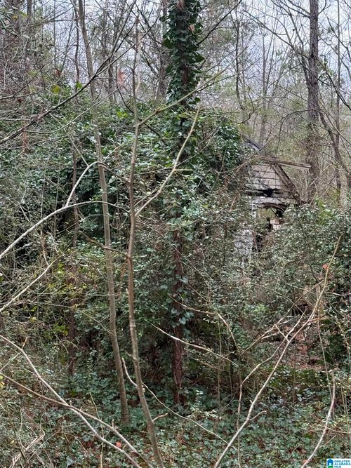 1-0 Hwy 91, Hanceville, AL, 35077 | Card Image