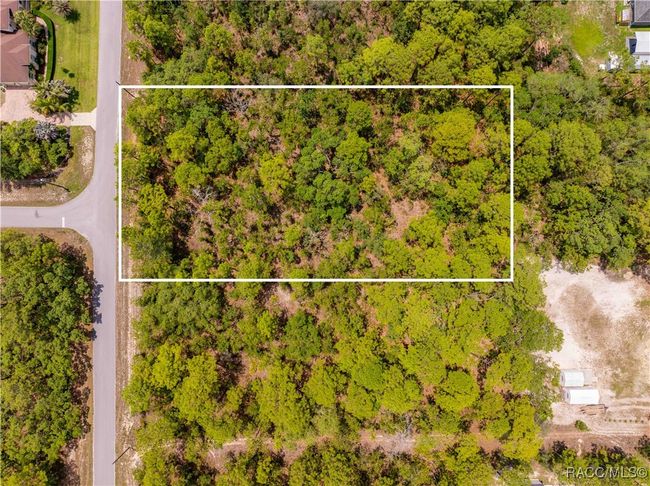 16240 Mount Sparrow Rd, Home with 0 bedrooms, 0 bathrooms and null parking in Weeki Wachee FL | Image 8