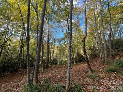 01-6 Dividing Ridge Trl, Arden, NC, 28704-8825 | Card Image