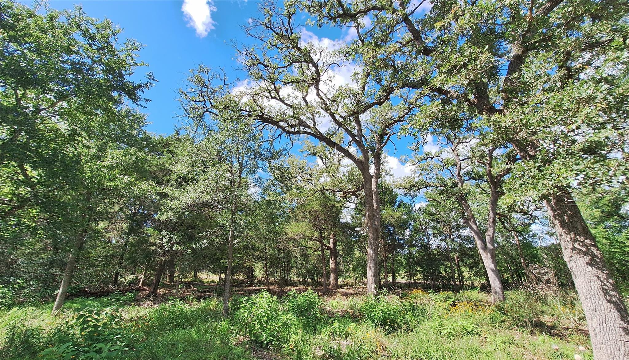 Land in Caldwell 5
