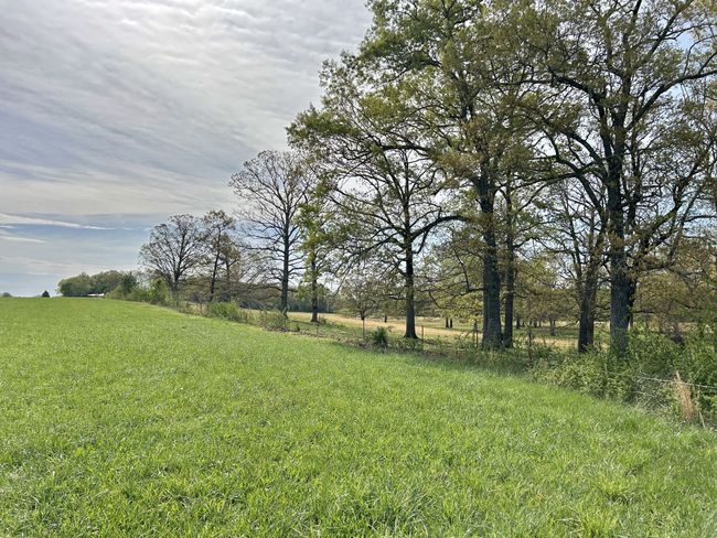 1110 Pomroy Rd, House other with 3 bedrooms, 2 bathrooms and 2 parking in Manchester TN | Image 44