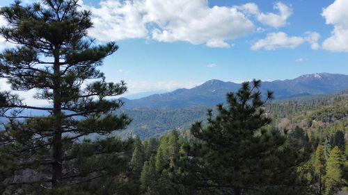 0 Green Craig Dr, Idyllwild, CA, 92549 | Card Image