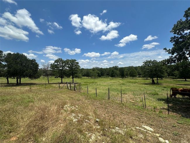View of yard with a view of rural / pastoral area | Image 29