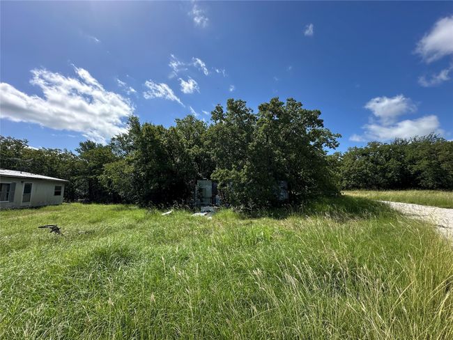 View of yard featuring a view of trees | Image 20