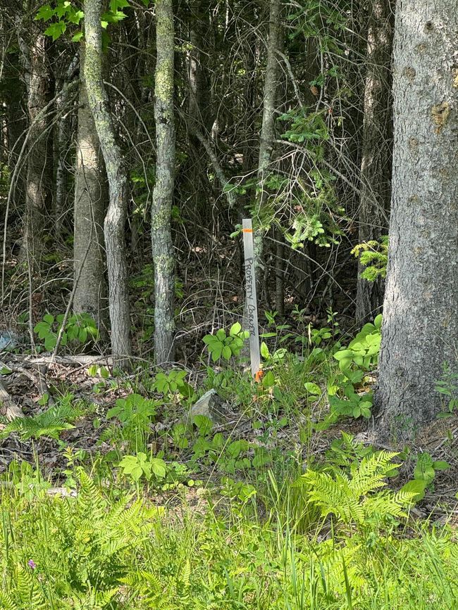 Survey Marker on Gamma Rd | Image 10