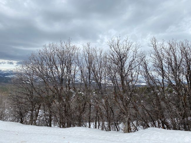 Property view of mountains | Image 7