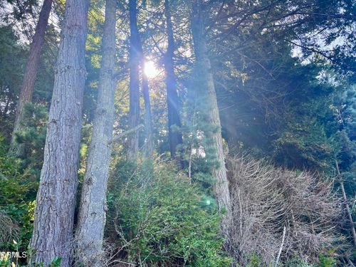 15301 Forest View Rd, Manchester, CA, 95459-8951 | Card Image