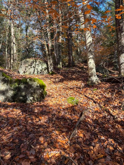 Lot 77-7 E Washington Rd, Washington, NH, 03280 | Card Image