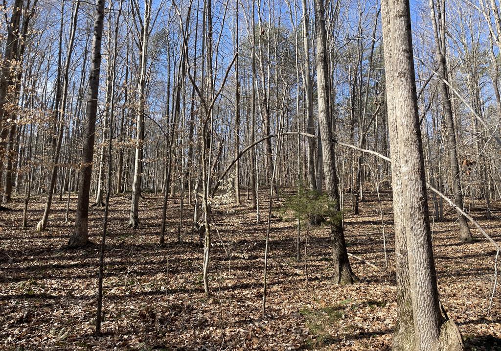 Land in Drakes Branch 5