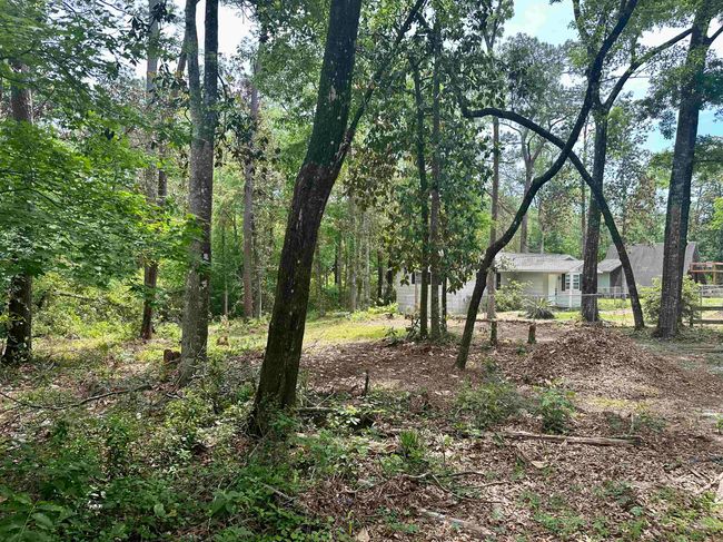 24118 Lone Star Rd, House other with 3 bedrooms, 2 bathrooms and null parking in Tallahassee FL | Image 31